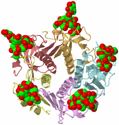 Image Asym./Biol. Unit