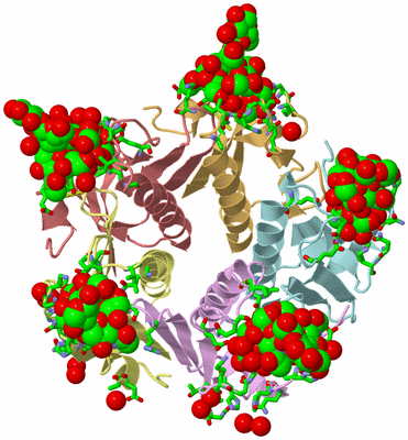 Image Asym./Biol. Unit - sites