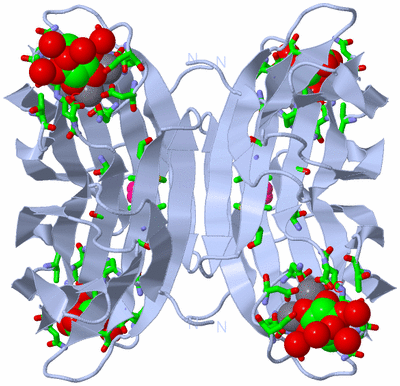 Image Biol. Unit 1 - sites