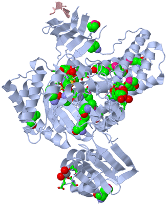 Image Biol. Unit 1 - sites