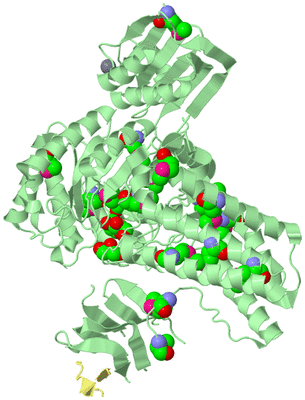 Image Biological Unit 2