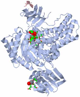 Image Biol. Unit 1 - sites