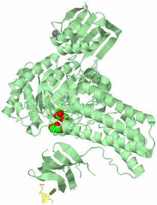 Image Biological Unit 2