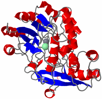 Image Asymmetric Unit