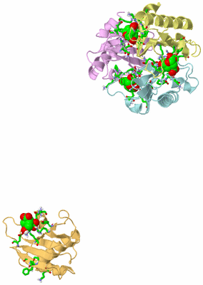 Image Biol. Unit 1 - sites