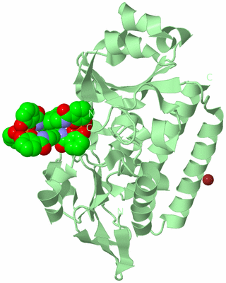 Image Biological Unit 2