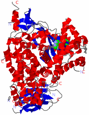 Image Asym./Biol. Unit