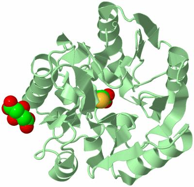 Image Biological Unit 2