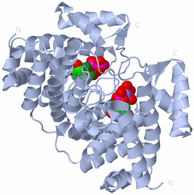 Image Biological Unit 1