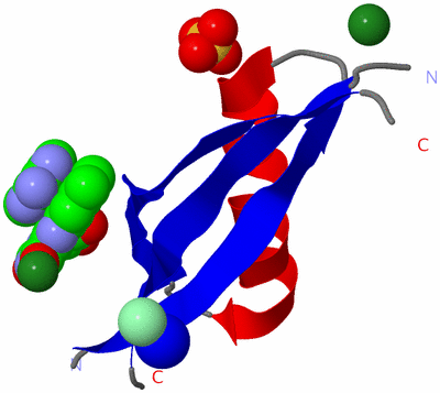 Image Asymmetric Unit