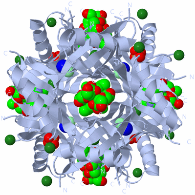 Image Biological Unit 1