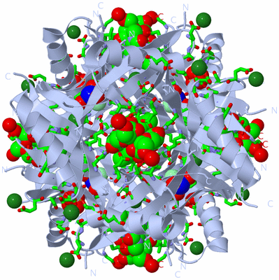 Image Biol. Unit 1 - sites