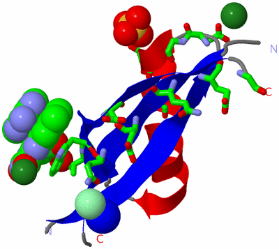 Image Asym. Unit - sites