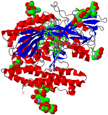 Image Asym. Unit - sites