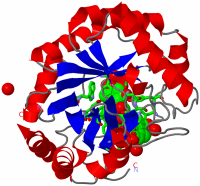 Image Asym./Biol. Unit - sites