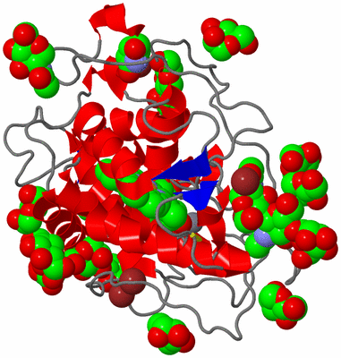 Image Asym./Biol. Unit