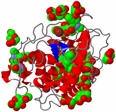 Image Asym./Biol. Unit