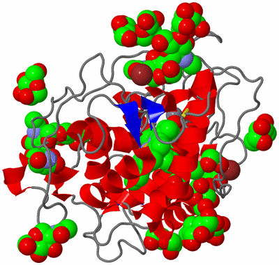 Image Asym./Biol. Unit