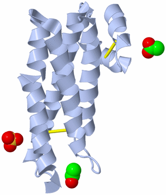 Image Biological Unit 1