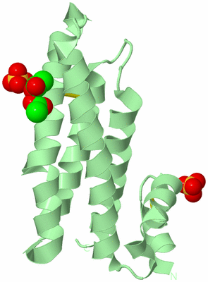 Image Biological Unit 2