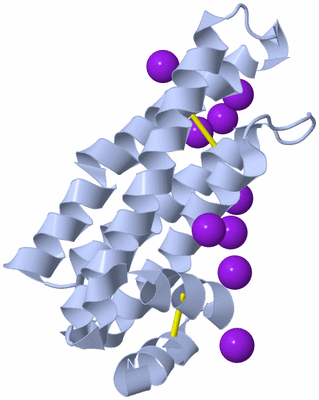 Image Biological Unit 1