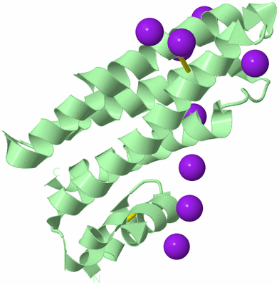 Image Biological Unit 2