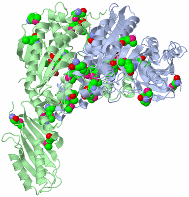 Image Asym./Biol. Unit