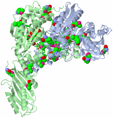 Image Asym./Biol. Unit - sites