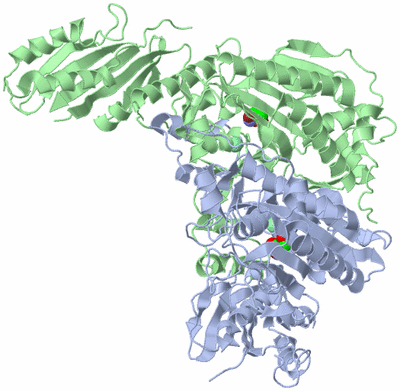 Image Asym./Biol. Unit