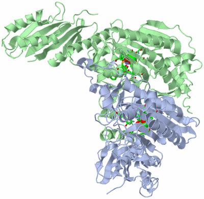 Image Asym./Biol. Unit - sites