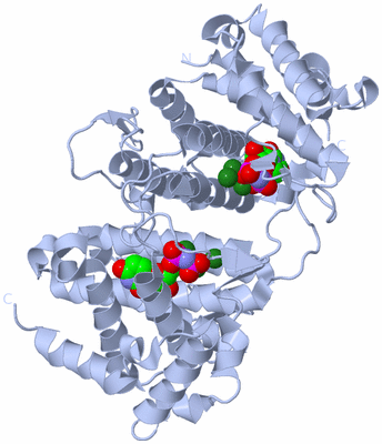 Image Biological Unit 1