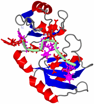 Image NMR Structure - model 1