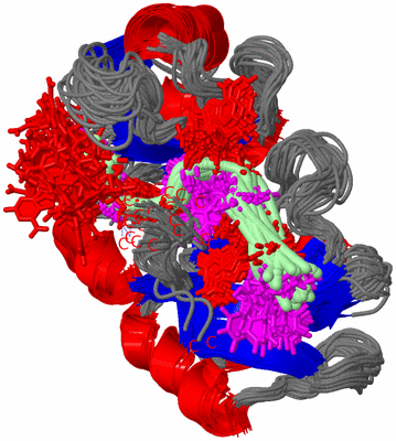 Image NMR Structure - all models