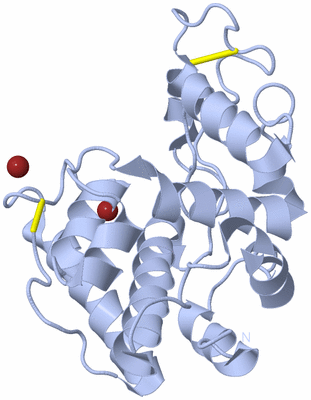 Image Biological Unit 1