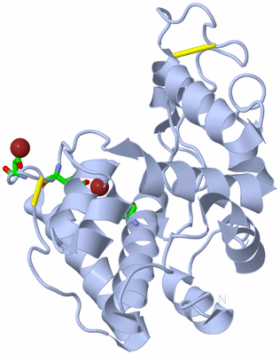 Image Biol. Unit 1 - sites