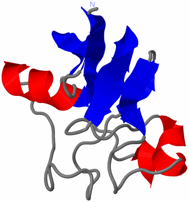 Image NMR Structure - model 1