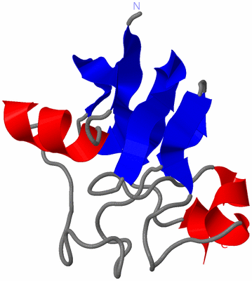 Image NMR Structure - model 1