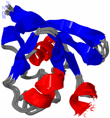 Image NMR Structure - all models
