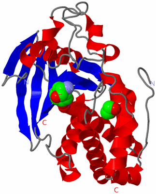 Image Asym./Biol. Unit