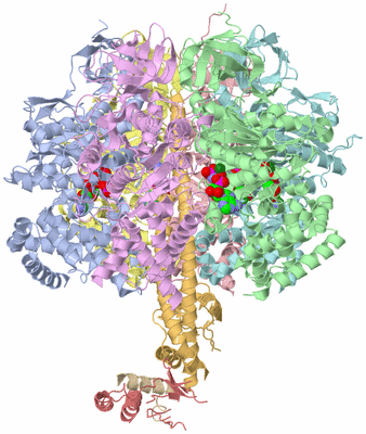 Image Asym./Biol. Unit