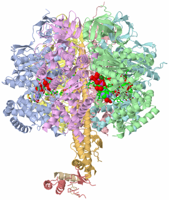 Image Asym./Biol. Unit - sites