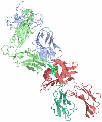 Image Biological Unit 1