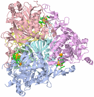 Image Asym./Biol. Unit - sites