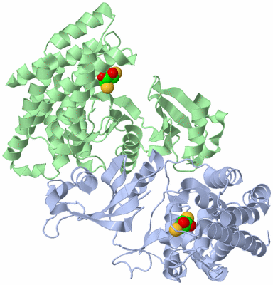 Image Asym./Biol. Unit