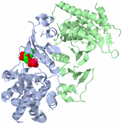 Image Asym./Biol. Unit