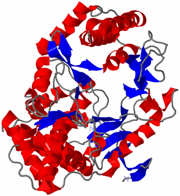 Image Asym./Biol. Unit