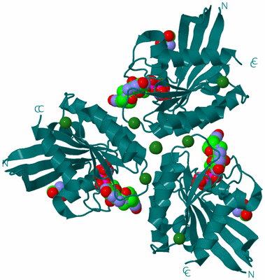 Image Biological Unit 1