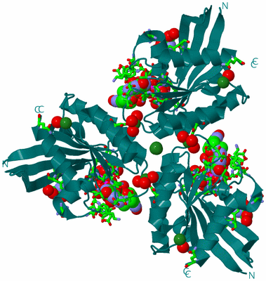 Image Biol. Unit 1 - sites