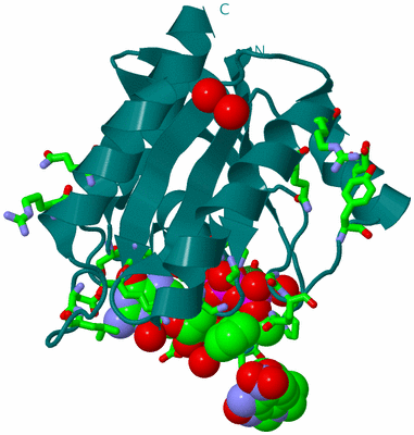 Image Biol. Unit 1 - sites