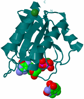 Image Biological Unit 1